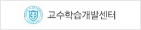 교수학습개발센터